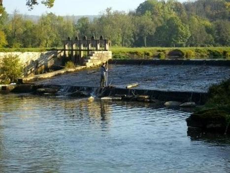 Que peuvent nous dire les poissons sur les effets de l’Homme sur les cours d’eau ? OSUR | Biodiversité | Scoop.it