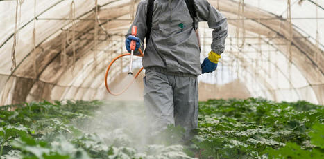 Plan Ecophyto : tout comprendre aux annonces du gouvernement | Phytosanitaires et pesticides | Scoop.it