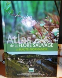 Atlas de la flore sauvage de Haute-Normandie | Biodiversit&eacute; | Scoop.it