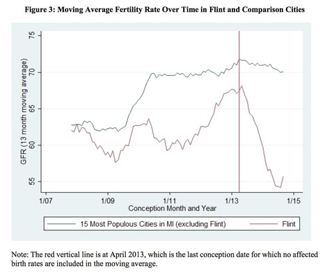 Flint&rsquo;s lead-poisoned water had a &lsquo;horrifyingly large&rsquo; effect on fetal deaths, study finds - The Washington Post | Operation Phobos | Scoop.it