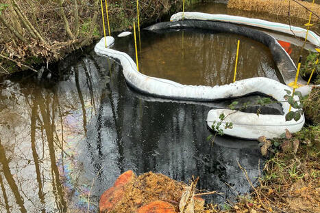 Pollution aux hydrocarbures dans la rivière : au procès, "personne ne sait rien sur rien" / le 21.02.2025 | Pollution accidentelle des eaux (+ déchets plastiques) | Scoop.it