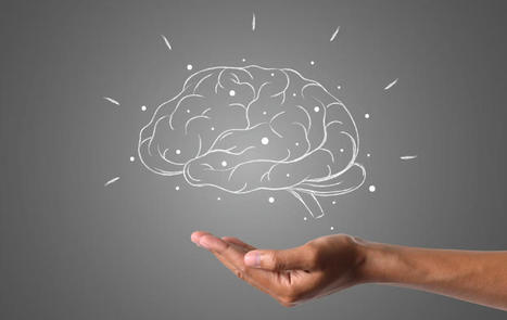 "Construire un second cerveau" La clé de la productivité selon Tiago Forte" | Education 2.0 & 3.0 | Scoop.it