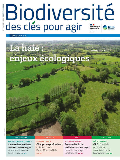 La haie : enjeux écologiques - Dossier de la revue Biodiversité, des clés pour agir n°1 en accès libre | Biodiversité | Scoop.it
