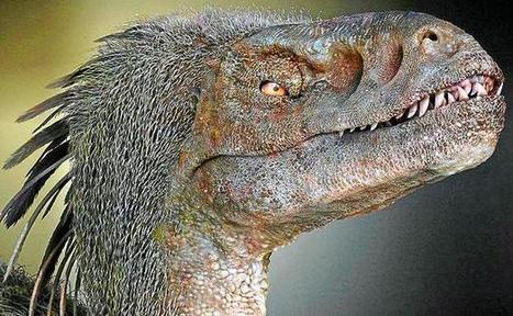 Des dinosaures en réalité augmentée au zoo de Pessac | Remembering tomorrow | Scoop.it