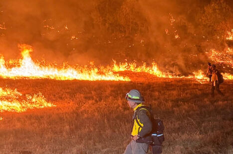 Five Texas wildfires pull Central Texas crews onto Palo Pinto, Sutton fire lines - The Cool Down | Operation Deimos | Scoop.it
