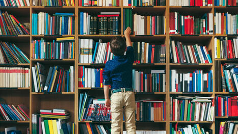 Library pulls &lsquo;trans-glorifying&rsquo; display after public outrage - The Christian Institute | In the news: data in the UK Data Service collection across the web | Scoop.it