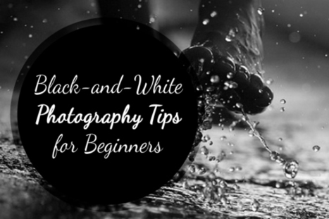 Black-and-White Photography Tips for Beginners @ Weeder | Mobile Photography | Scoop.it