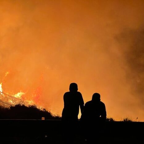 Du ciel aux racines : la MÉDITERRANÉE réinvente sa lutte contre les incendies | CIHEAM Press Review | Scoop.it