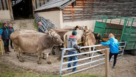 Le monde agricole pris &agrave; la gorge par l&rsquo;explosion des co&ucirc;ts de production li&eacute;e &agrave; la guerre au Moyen-Orient | Revue de presse &eacute;conomique du Sud Touraine | Scoop.it