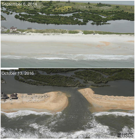Before and After Photos: SE Beach Dunes Lost to Hurricane Matthew | Coastal Restoration | Scoop.it