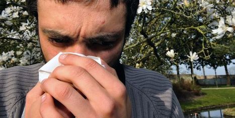 Asthme et autres allergies respiratoires : pourquoi sont-elles en hausse ? | Toxique, soyons vigilant ! | Scoop.it