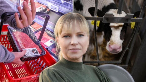 LRF: K&ouml;ttf&auml;rsbristen beror p&aring; 135 procent fler regler | 1Uutiset - Lukemisen t&auml;hden | Scoop.it