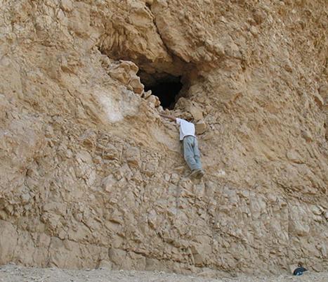 Genome of 6,000-year-old barley grains sequenced for first time | Amazing Science | Scoop.it