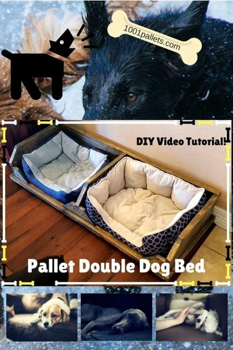 Diy Video Tutorial: Pallet Two-dog Bed | 1001 Pallets ideas ! | Scoop.it