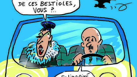 Arles : des avertisseurs sonores pour sauver les chauves-souris | Camargue Nature | Scoop.it