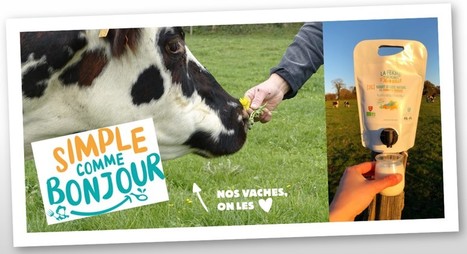 Simple Comme Bonjour, du yaourt bio, fermier et local | Lait de Normandie... et d'ailleurs | Scoop.it