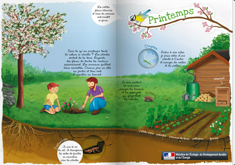 Illustrations & ateliers qui vont permettre aux enfants de d&eacute;couvrir la nature en s&rsquo;amusant !  #FDLN2016 | TUICnum&eacute;rique | Scoop.it