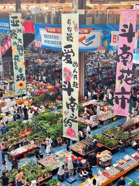 Yunnan Discovery | Guys, if you&rsquo;re in Kunming, DONT skip the flower market&mdash;this place blew my mind | Kunming-Yunnan | Scoop.it