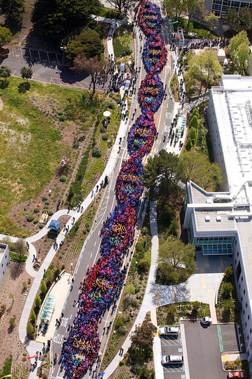 Aerial "Human" Helix at Genentech | Artistry and Inspiration | Scoop.it