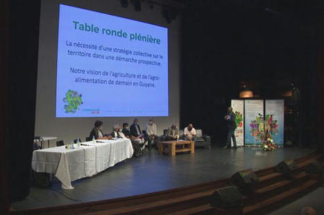 Assises de l’agriculture de Guyane : des freins et des opportunités  | Revue Politique Guadeloupe | Scoop.it