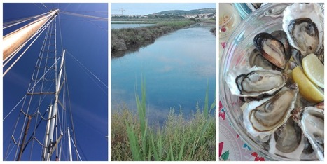Un week-end au top dans la Lagune de Thau | Loisirs Nautiques dans l'Hérault | Scoop.it