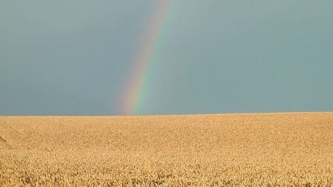 74 % des Fran&ccedil;ais font confiance aux agriculteurs - Terre-net | Agriculture et communication positive | Scoop.it