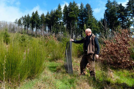 L'ONF recherche des solutions pour sauver les forêts d'un réchauffement climatique inéluctable - Nevers (58000) | Histoires Naturelles | Scoop.it