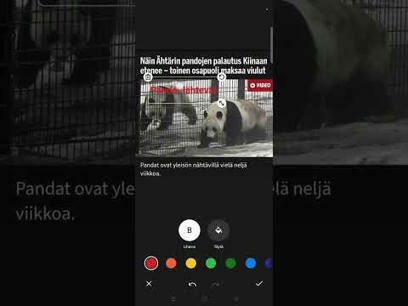 Bazaar: Kuningaslaji | 1Uutiset - Lukemisen tähden | Scoop.it