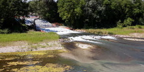 Le Petit Rhin porté sur les fonts baptismaux | Biodiversité | Scoop.it