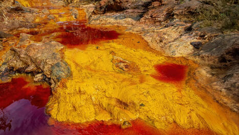 Microbes that breathe rust could help save Earth’s oceans | Soggy Science | Scoop.it