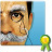 Make Me Old for Android - Grow old in a few seconds! | Android and iPad apps for language teachers | Scoop.it