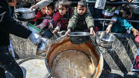 MENA : Gaza is on the brink of a man-made FAMINE | CIHEAM Press Review | Scoop.it