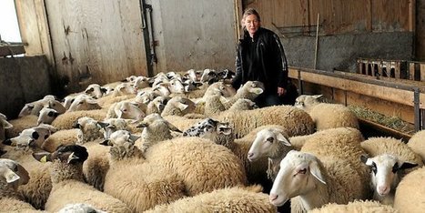 Région : le loup gagne du territoire et fait peur aux éleveurs | Biodiversité | Scoop.it