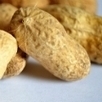 Food allergy workshop - spectroscopyNOW.com | Allergy (and clinical immunology) | Scoop.it