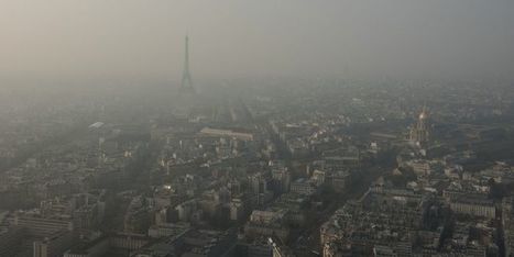 L'étude santé du jour : la pollution rend les allergènes plus puissants | Toxique, soyons vigilant ! | Scoop.it