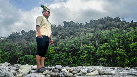 Forest Defenders: A Panamanian Tribe Regains Control of Its Lands | K-12 Aboriginal and Torres Strait Islander histories and cultures | Scoop.it