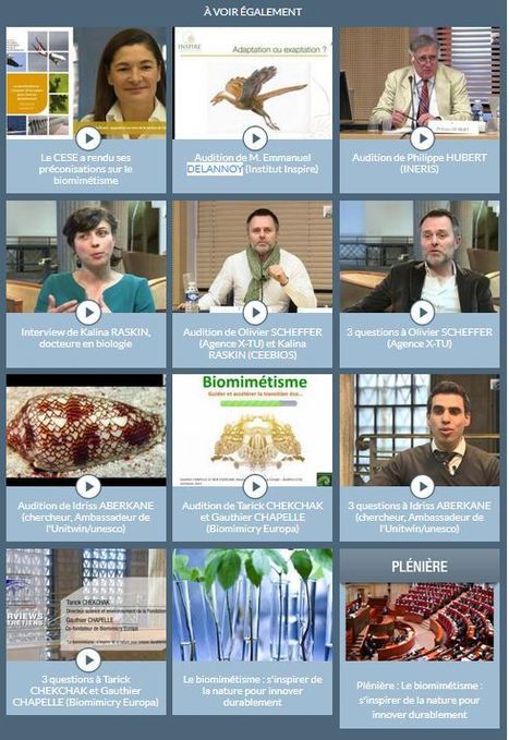 09-09-2015 : Le biomim&eacute;tisme - CESE - Revoir l'int&eacute;gralit&eacute; de la s&eacute;ance pl&eacute;ni&egrave;re | EntomoScience | Scoop.it