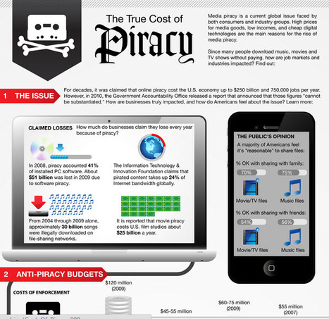 The True Cost of Piracy - Infographic | business analyst | Scoop.it