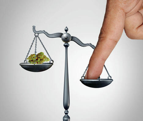 Is the DEA Rigging the Cannabis Hearings like Tyson vs. Paul? - DEA Sued for Hiding Secret Emails from Anti-Pot Lobbying Group | Cannabis.Net | Scoop.it