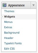 Widgets | WordPress and Annotum for Education, Science,Journal Publishing | Scoop.it