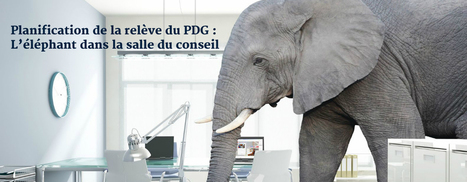 Planification de la relève du PDG : L’éléphant dans la salle du conseil - Johanne Bouchard | Pour une gouvernance créatrice de valeurs® | Scoop.it