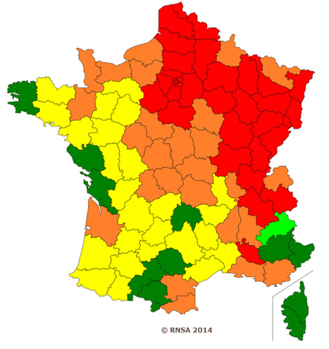 Pollen : "Certaines allergies peuvent arriver tard dans la vie" | Toxique, soyons vigilant ! | Scoop.it