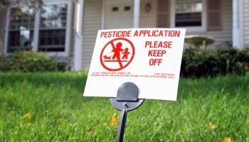 Opinion: Help Reduce Toxins in Our Environment – Our Lawns Don’t Need Chemicals! | Newtown News of Interest | Scoop.it