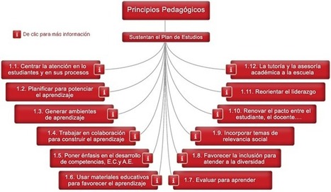 Principios pedagógicos | Al calor del Caribe | Scoop.it