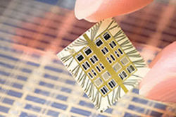 La puce de MicroChips remplace la seringue | Essentiels et SuperFlus | Scoop.it