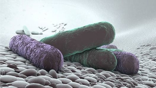 ultra boost größe 46