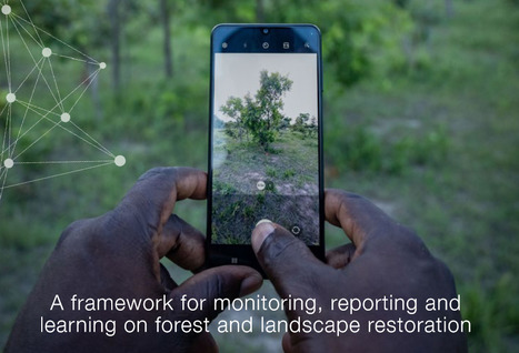 Kenya Forest and Landscape Restoration Monitoring Framework | Ecosystèmes Tropicaux | Scoop.it