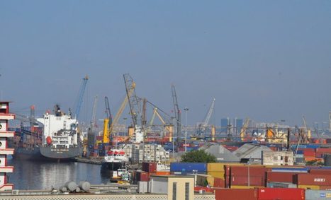 Algérie : un plan de promotion des exportations agricoles en selle | MED-Amin network | Scoop.it