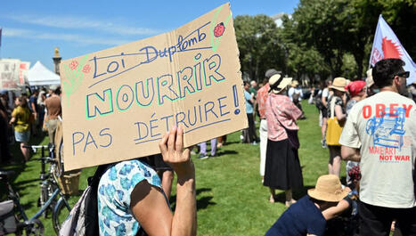 Loi Duplomb&nbsp;: des manifestations partout en France contre un nouveau texte pour r&eacute;introduire des pesticides interdits - ICI | Plan&egrave;te DDurable | Scoop.it