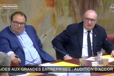 Ces dizaines de milliards d’euros d’aides publiques aux entreprises versés sans transparence, ni suivi | veille quotidienne | Scoop.it